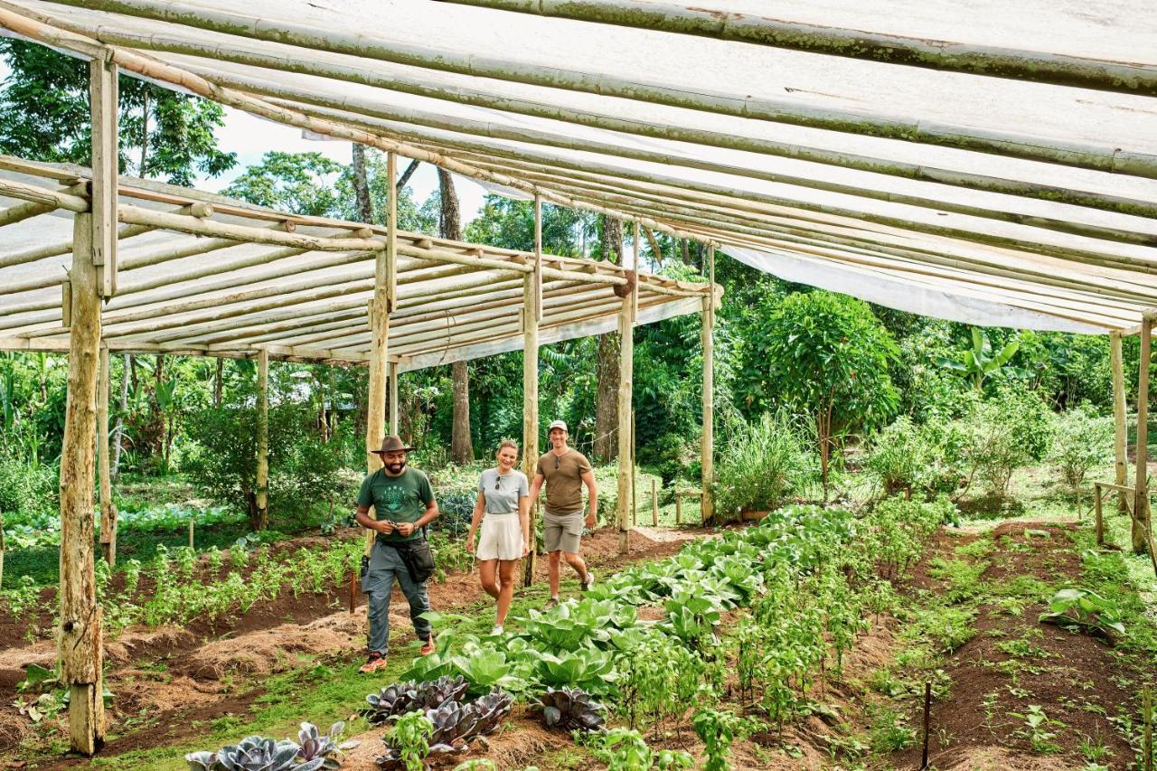 Finca Luna Nueva Lodge La Fortuna Εξωτερικό φωτογραφία