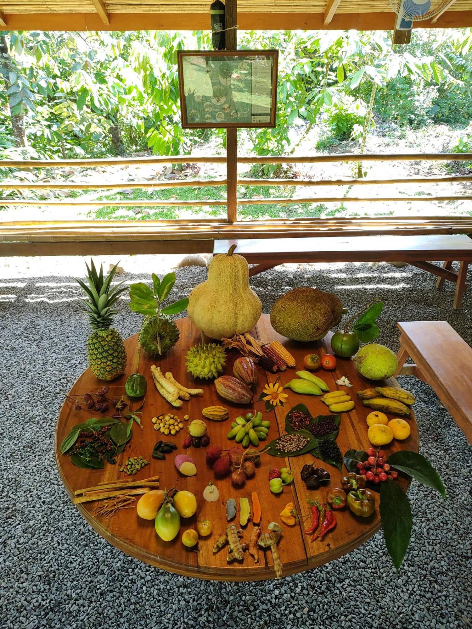 Finca Luna Nueva Lodge La Fortuna Εξωτερικό φωτογραφία